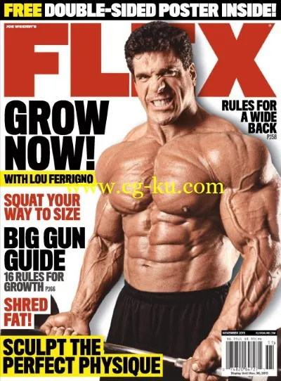 Flex USA – November 2015-P2P的图片1