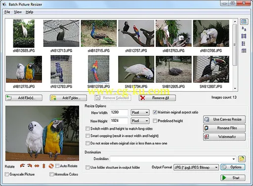 SoftOrbits Batch Picture Resizer 7.0 Multilingual的图片1