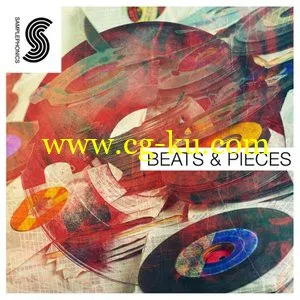 Samplephonics_Beats_and_Pieces_MULTiFORMAT的图片1