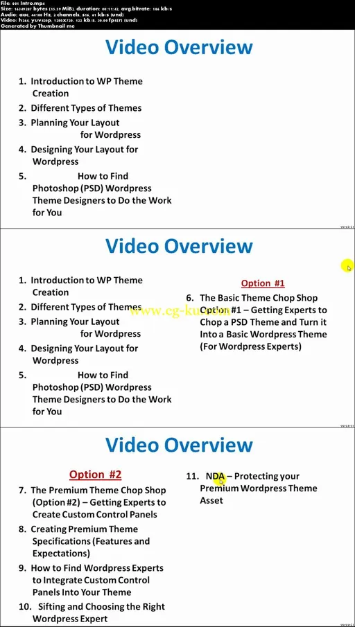 Design, Develop & Sell WordPress Themes的图片2