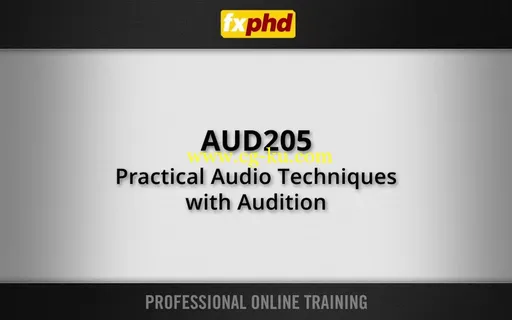 AUD205 – Practical Audio Techniques with Audition 实用影音技术的图片2