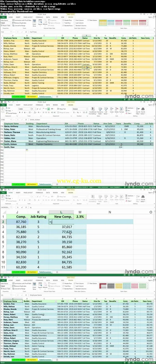 Lynda – Excel 2013: Managing and Analyzing Data的图片2