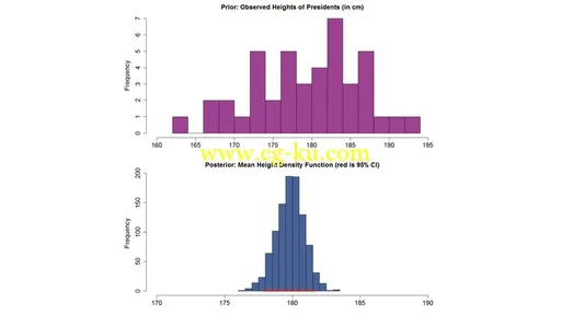 Bayesian Computational Analyses with R的图片1