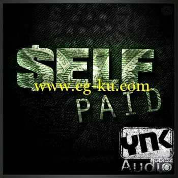 YnK Audio Self Paid ACID WAV MIDI的图片1