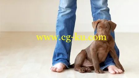 Pets and People Photography的图片1