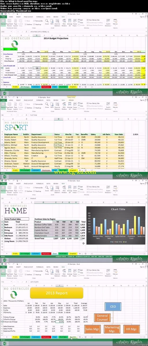 Excel 2013 Essential Training的图片2