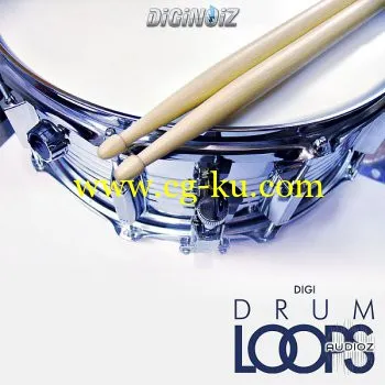 Diginoiz Digi Drum Loops MULTiFORMAT-KRock的图片1