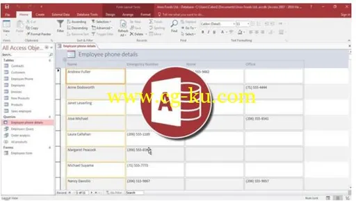 Microsoft Access 2016的图片1