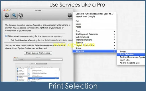 Print Selection 1.3.1 MacOSX的图片1