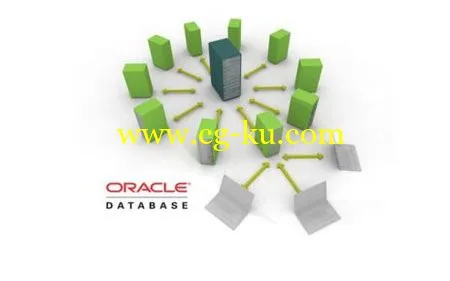 Oracle 11g Certified Professional Exam Prep III的图片1