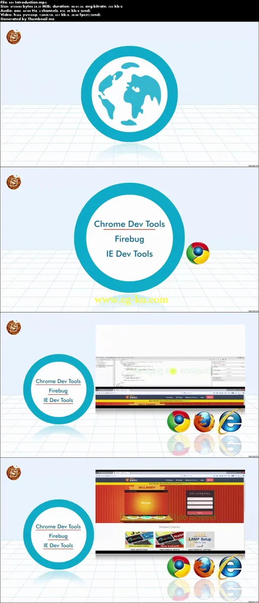 Browser Developer Tools的图片2