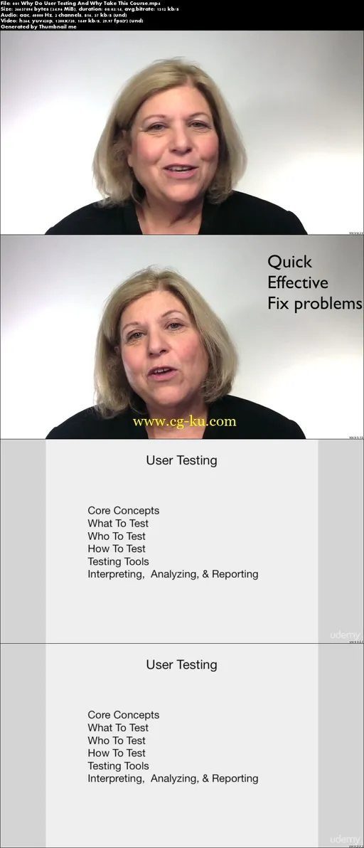 User Testing的图片2