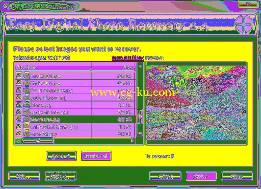 Easy Digital Photo Recovery 3.0的图片1
