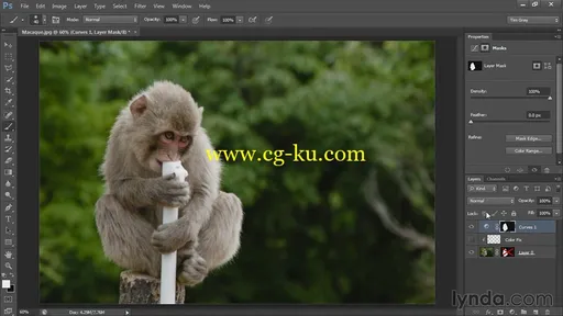 Lynda – Photoshop CS6 Selections and Layer Masking Workshop的图片2