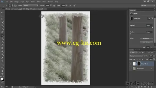 Lynda – Photoshop CS6 Selections and Layer Masking Workshop的图片3