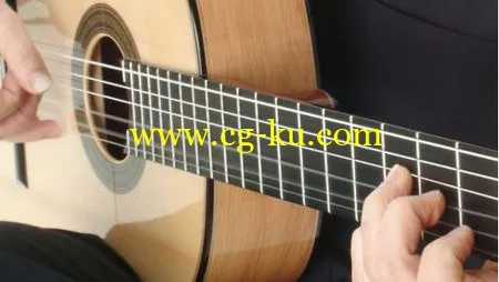 Flamenco Guitar的图片1