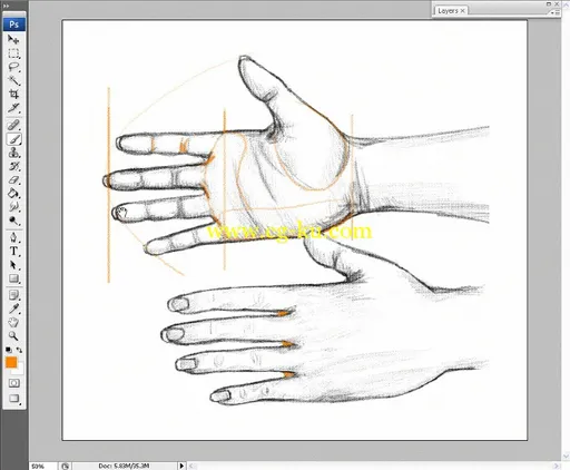 Drawing the Arms and Hands + Project Files的图片2