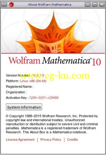 Wolfram Mathematica 10.3.1 Linux的图片2