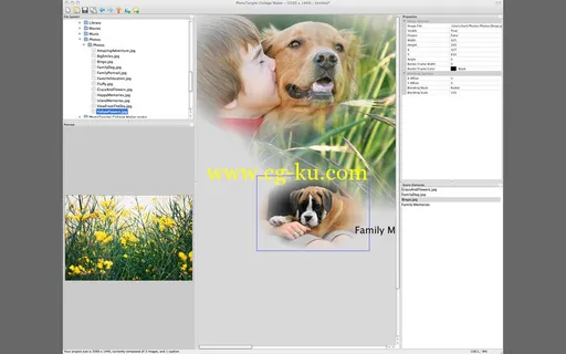 PhotoTangler Collage Maker v1.1 MacOSX的图片1