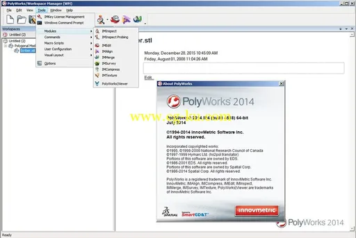 InnovMetric PolyWorks 2014 IR4的图片3