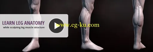 Dixxl Tuxxs – Sculpting Human Legs in ZBrush的图片2