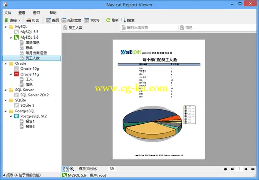 PremiumSoft Navicat Report Viewer 3.0.2 (x86/x64)的图片1