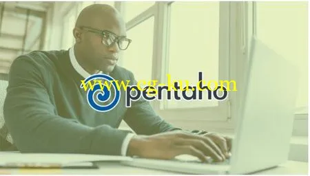 Pentaho Reporting的图片1