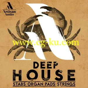 Artisan Audio – Deep House Stabs Organ Pads and Strings [WAV MiDi]的图片1