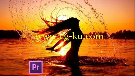 Dominate Adobe Premiere Pro CS6的图片1