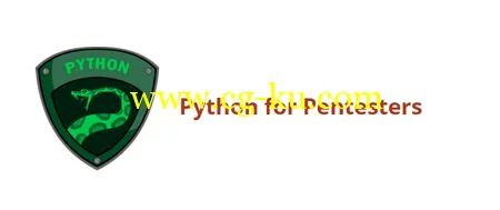 Pentester Academy Python for Pentesters (2015)的图片2