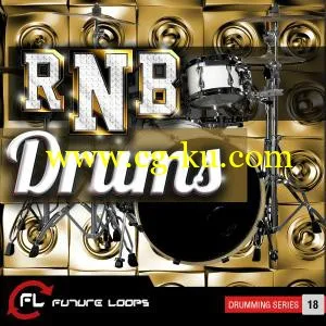 Future Loops RnB Drums WAV REX的图片1