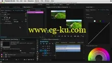 Lynda – Premiere Pro Guru: Adjustment Layers and Nesting的图片2