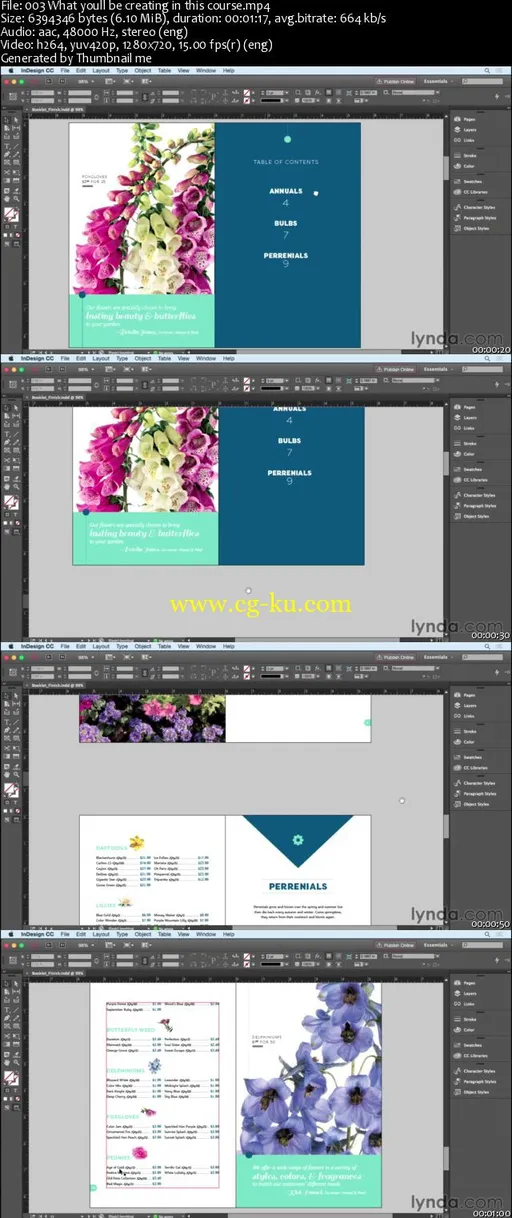 Creating an InDesign Booklet Using XML的图片1