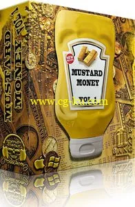 Bang Bang Productions – Mustard Money Vol 1 [WAV MiDi]的图片1