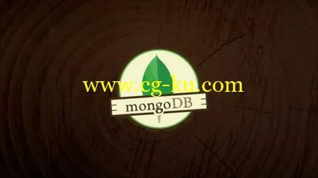 Comprehensive Course on MongoDB and Data Modelling的图片1