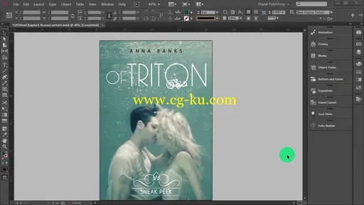 TutsPlus – InDesign CC Essentials的图片2