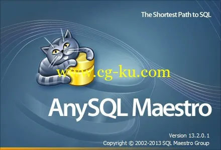 AnySQL Maestro Professional 13.2.0.18的图片1