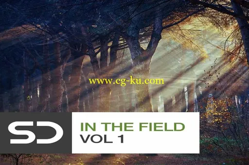 Sample Diggers – In The Field Vol 1 WAV的图片1