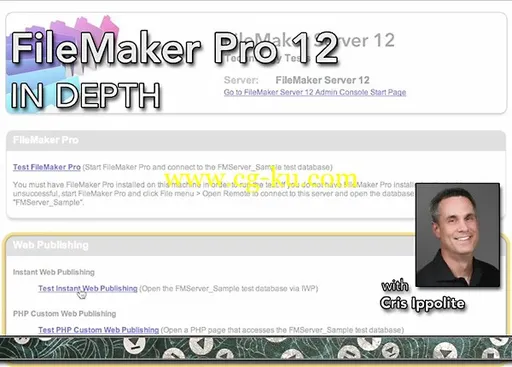 FileMaker Pro 12 in Depth的图片1