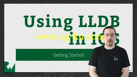 Using LLDB in iOS (Objective-C)的图片1