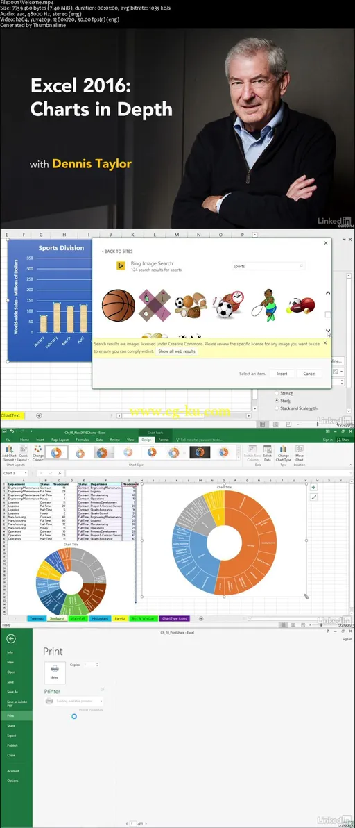 Excel 2016: Charts in Depth的图片2