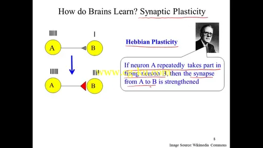 Coursera: Computational Neuroscience的图片2