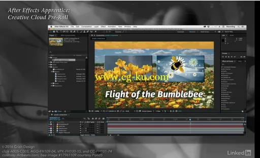 Lynda – After Effects Apprentice 01: CC Pre-Roll的图片1