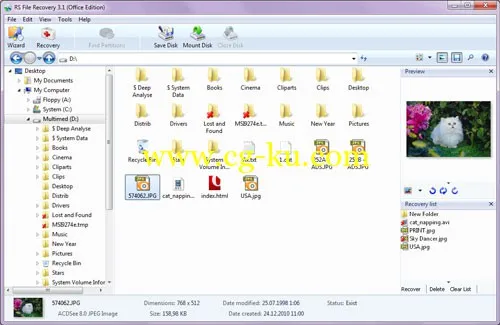 RS File Recovery 3.8 + Portable的图片1