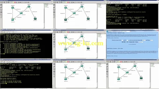 Cisco 300-101 – ROUTE Exam Training Video的图片1