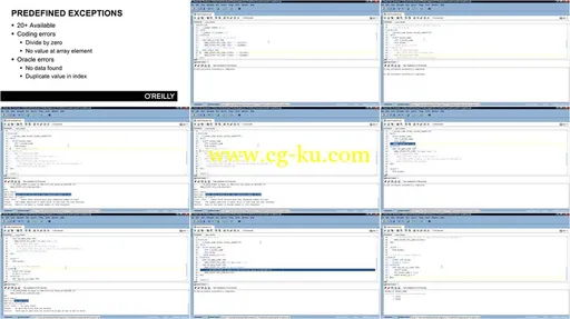 Learning Oracle PL/SQL Training Video的图片1