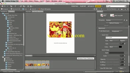 CreativeLive – Photoshop Deep Dive: Bridge with Lesa Snider的图片2