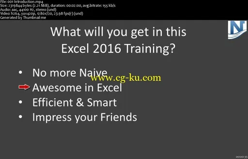 Microsoft Office Excel 2016 Basic and Advanced的图片2