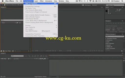 LearnNowOnline – After Effects CC, Part 1: Preview & Management的图片2