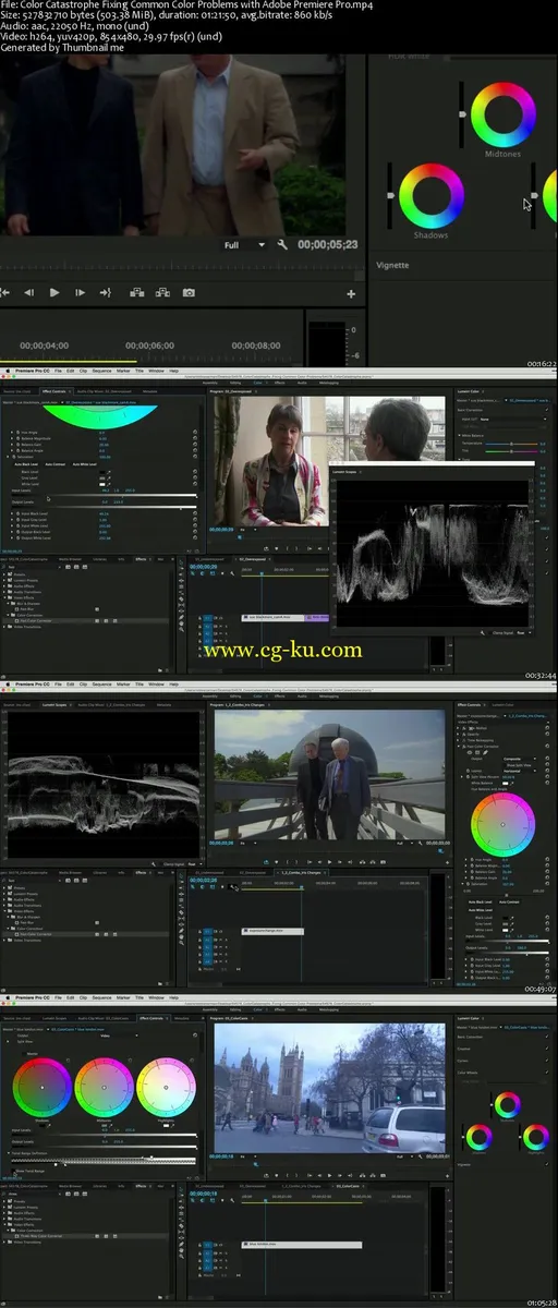 Color Catastrophe: Fixing Common Color Problems with Adobe Premiere Pro的图片2